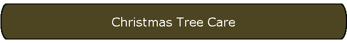 Christmas Tree Care
